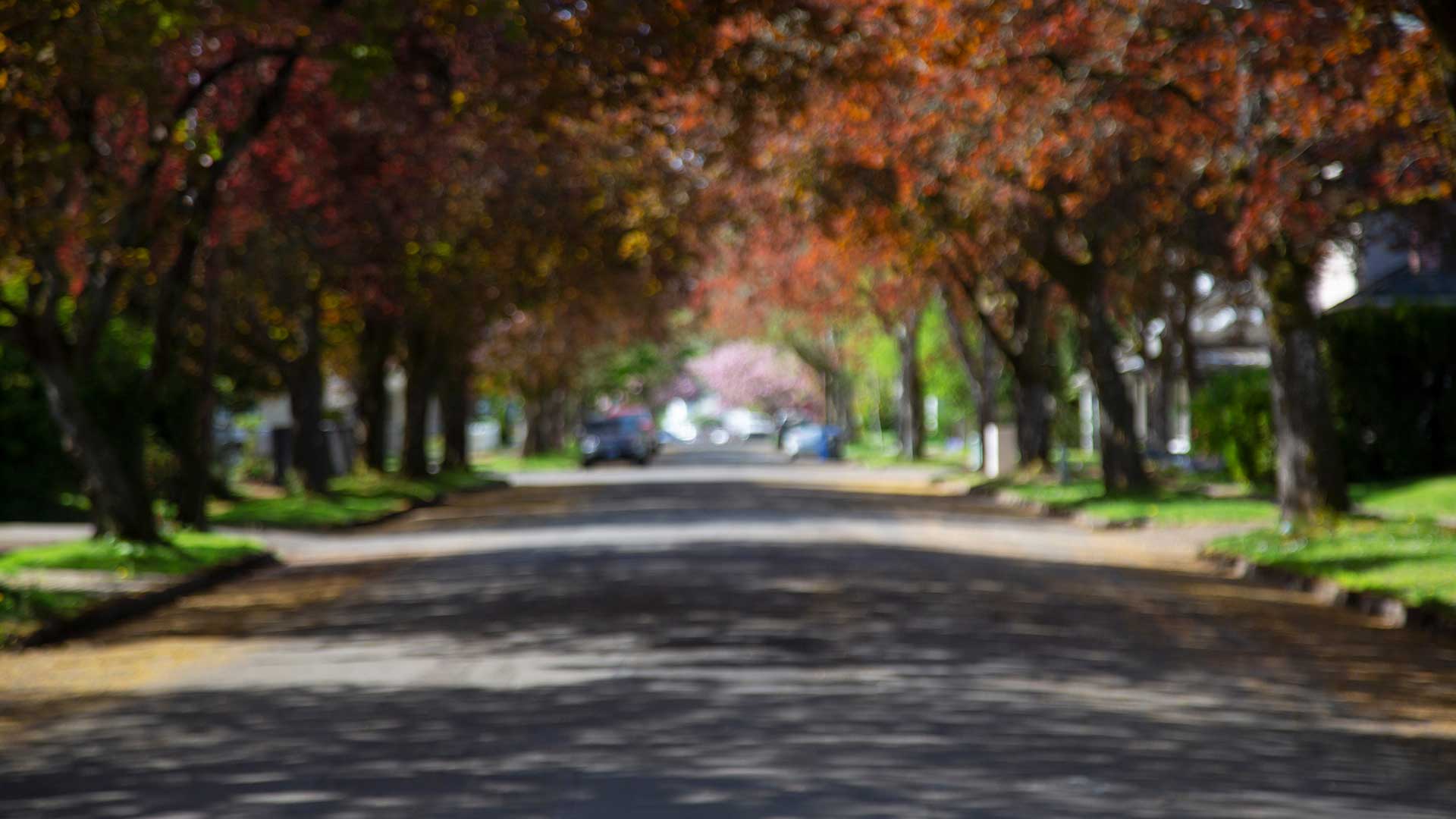 A residential street in Ashland, OH.
