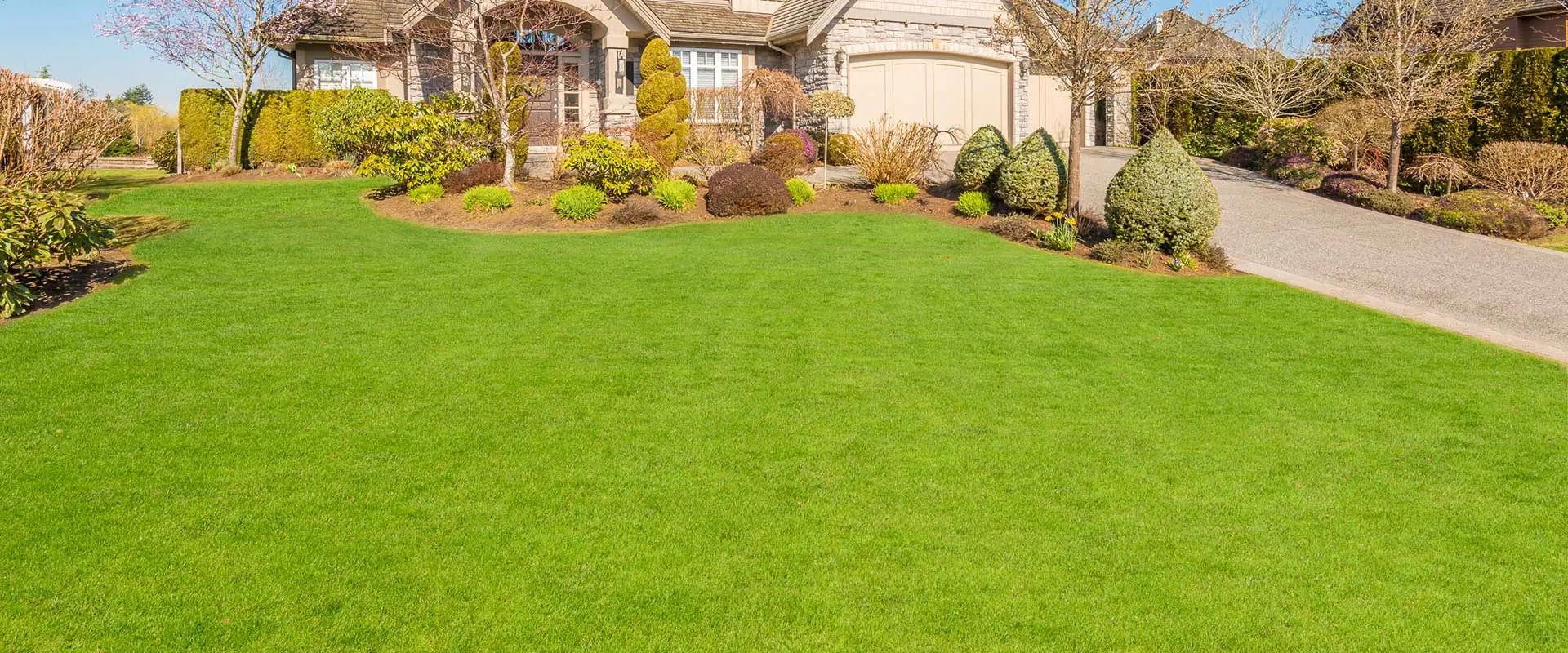 A bright and healthy home lawn near Ashland, OH.