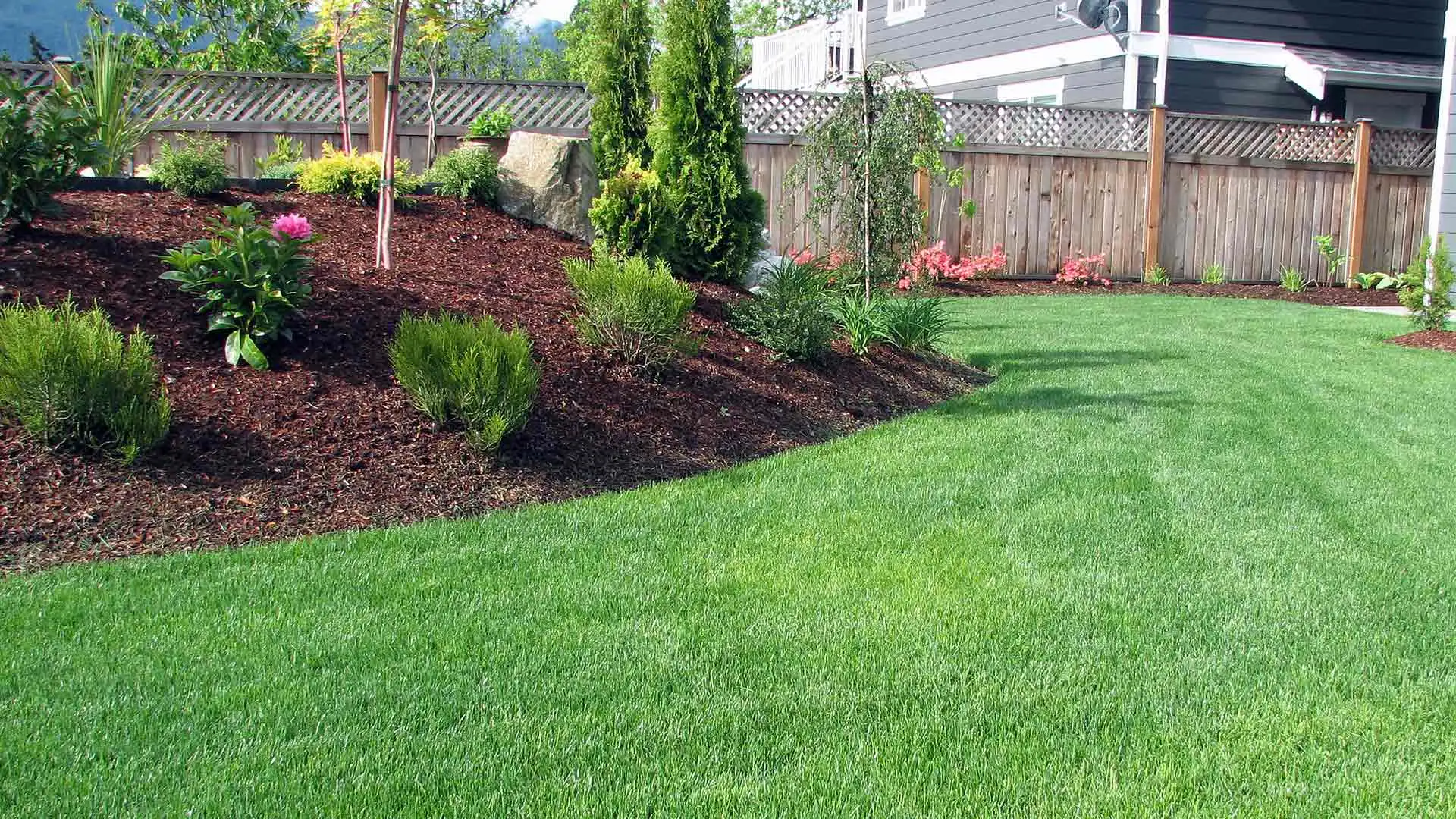 Landscape bed with weed control services in Wooster Heights, OH.