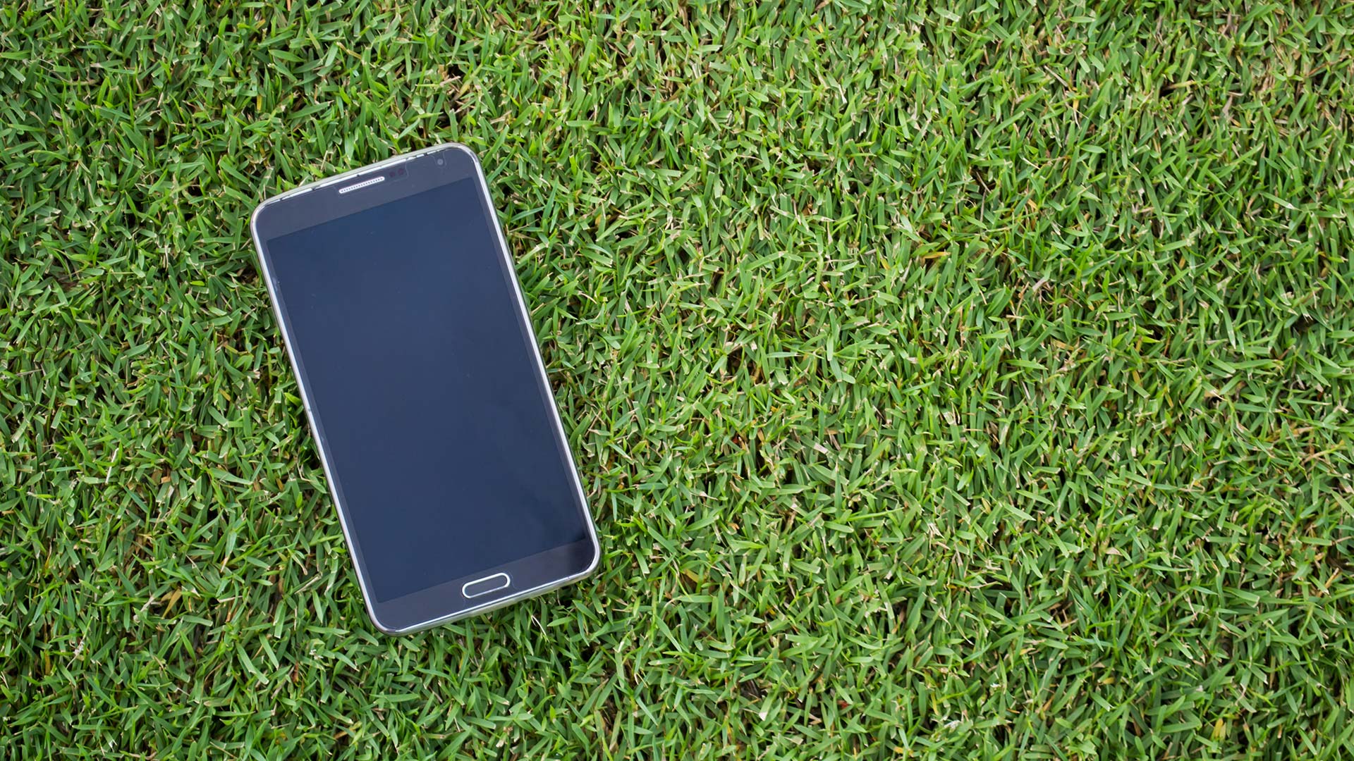 A cell phone lying on a patch of grass.