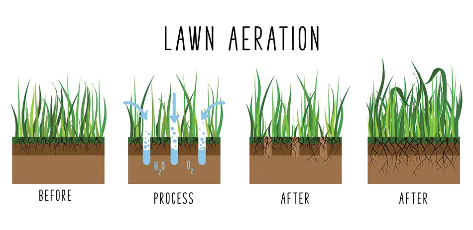 Core aeration infographic for lawns in the Mansfield, Ohio area.