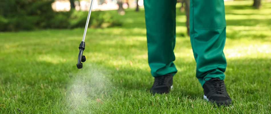 Pest control treatments being sprayed around a yard near a home in Ashland, OH.