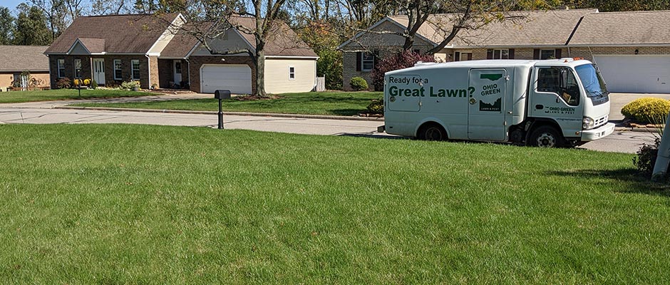 Thick, fertilized lawn grass next to a lawn care service vehicle in Mansfield, OH.