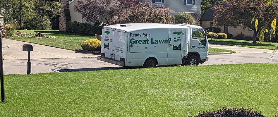 Thick, green lawn and Ohio Green Lawn & Pest service truck in Ashland, OH.