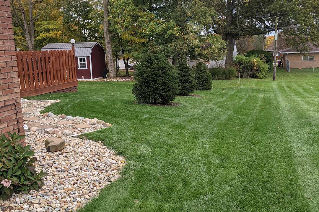 Beautiful yard with healthy trees and lawn grass near Lexington, Ohio.